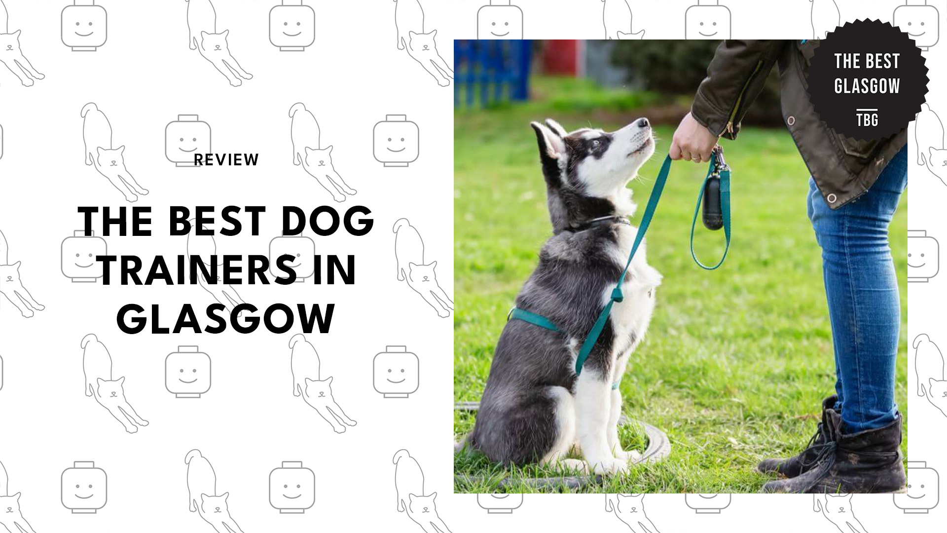 best-dog-trainers-glasgow-banner