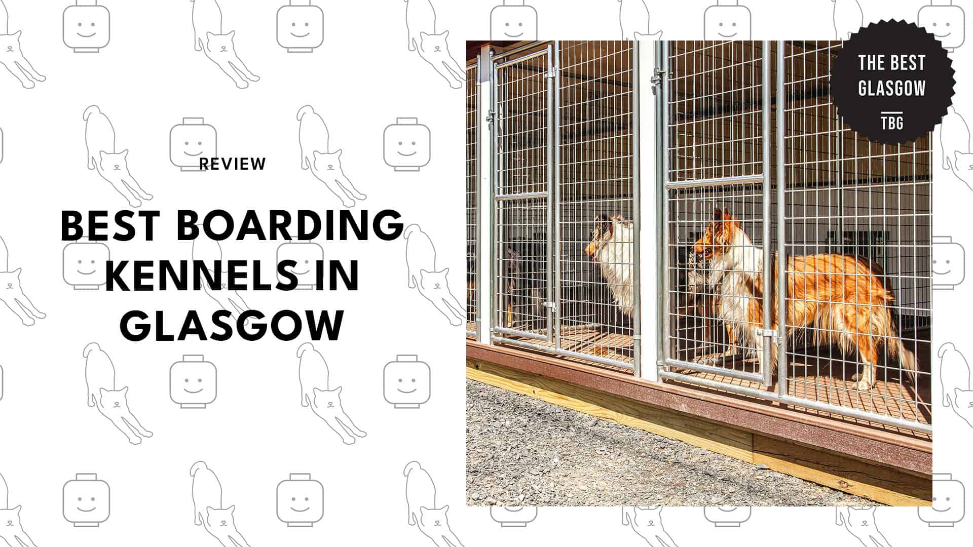 best-boarding-kennels-glasgow-banner