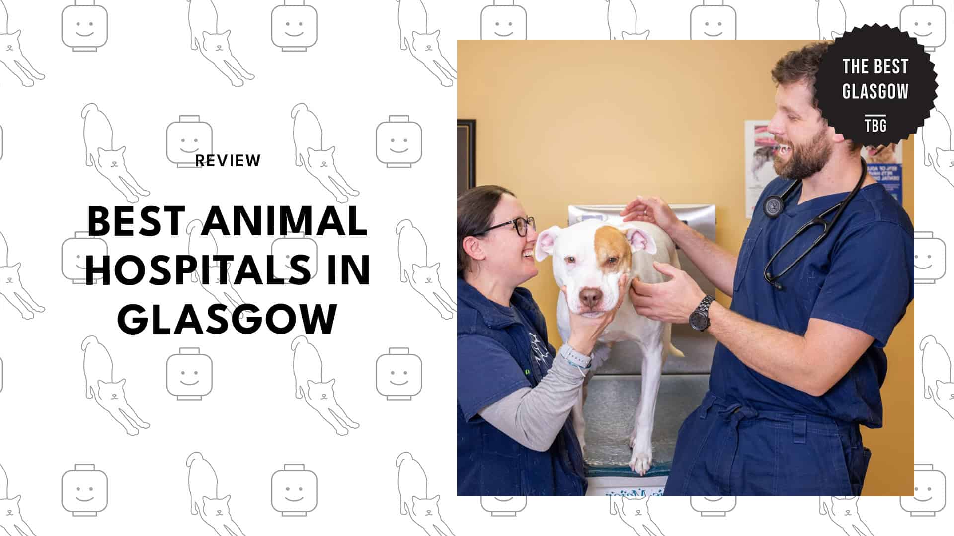 animal-hospital-glasgow