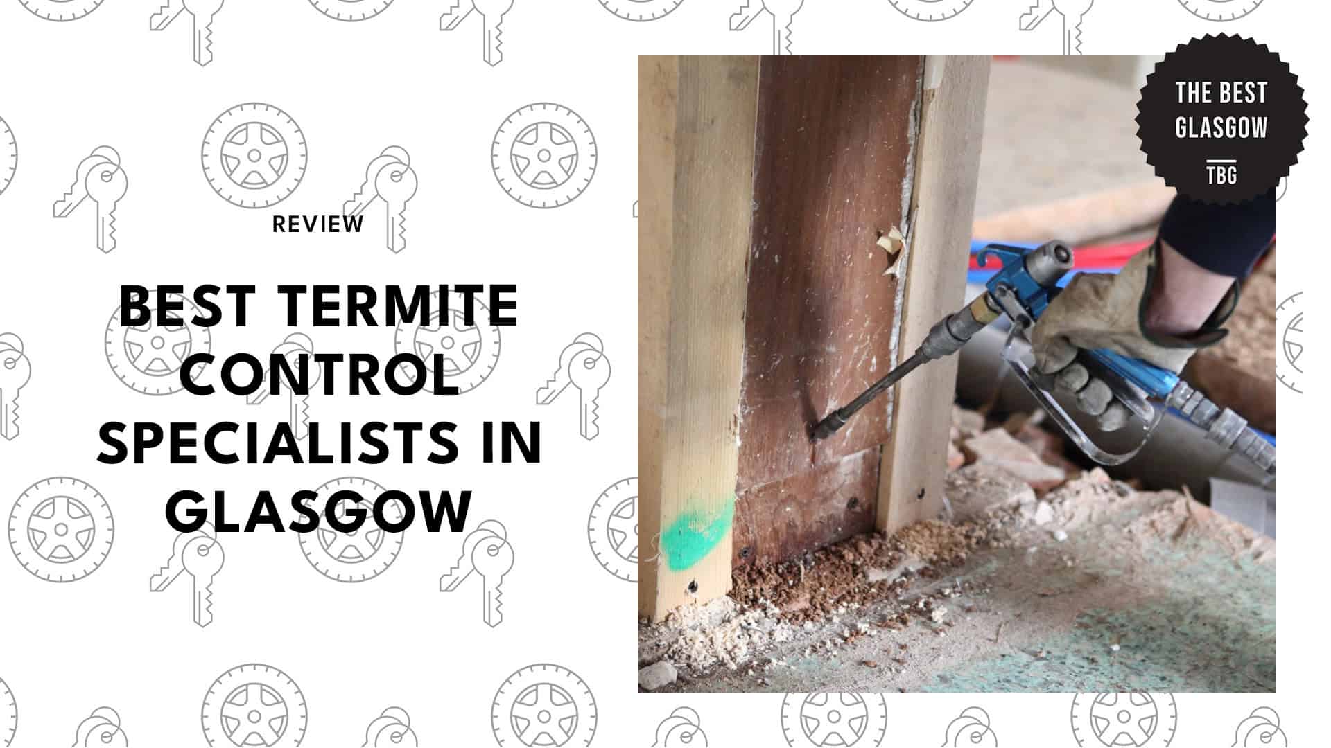best-termite-control-glasgow