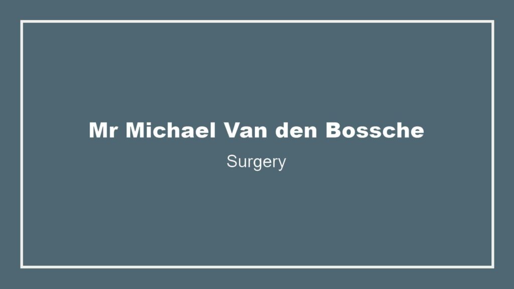 mr-michael-van-den-bossche