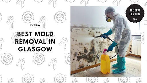 best-mold-removal-glasgow