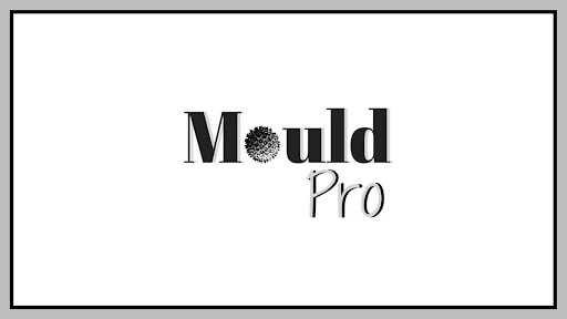 mould-pro
