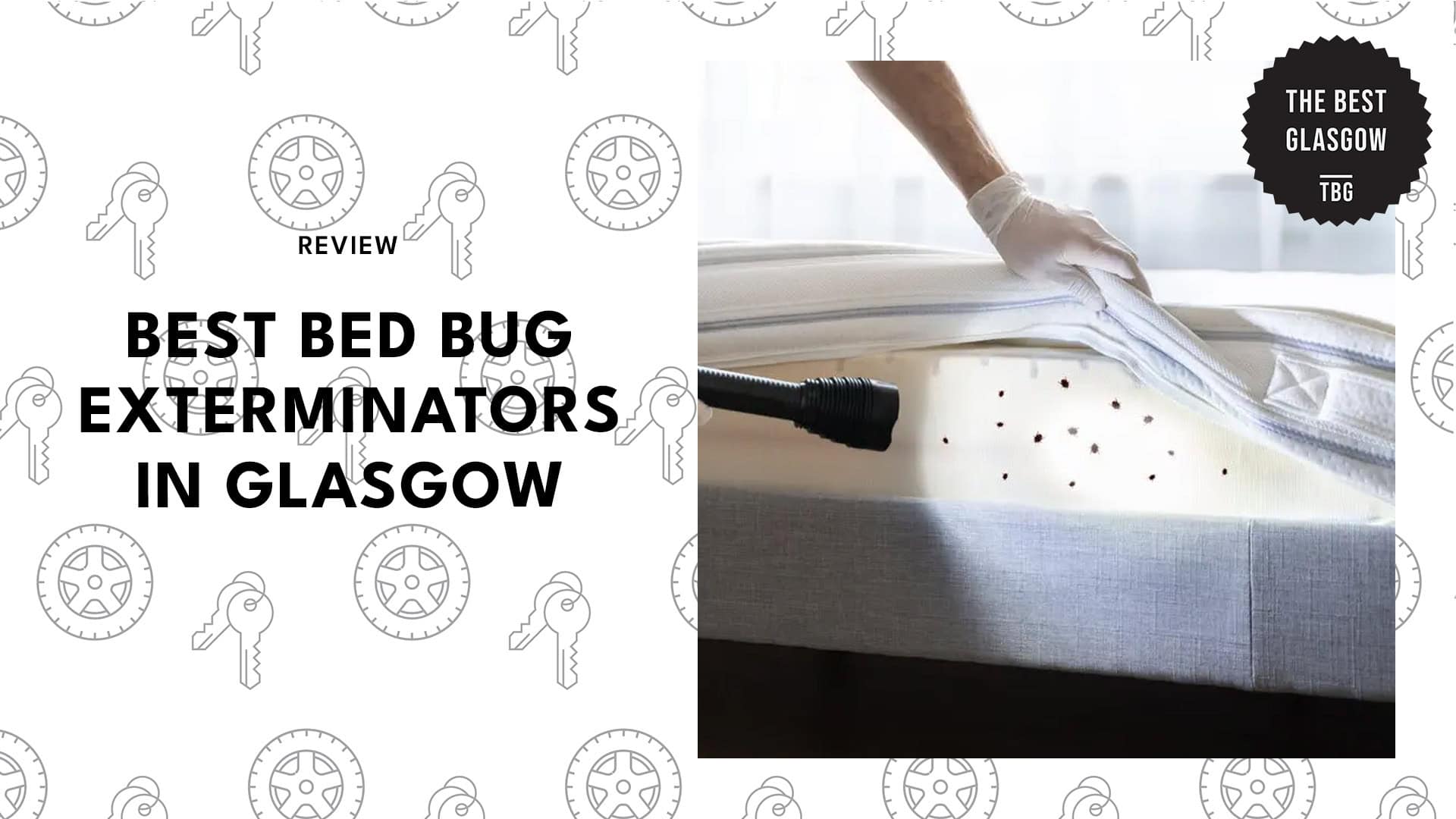 bed-bug-exterminators-in-glasgow