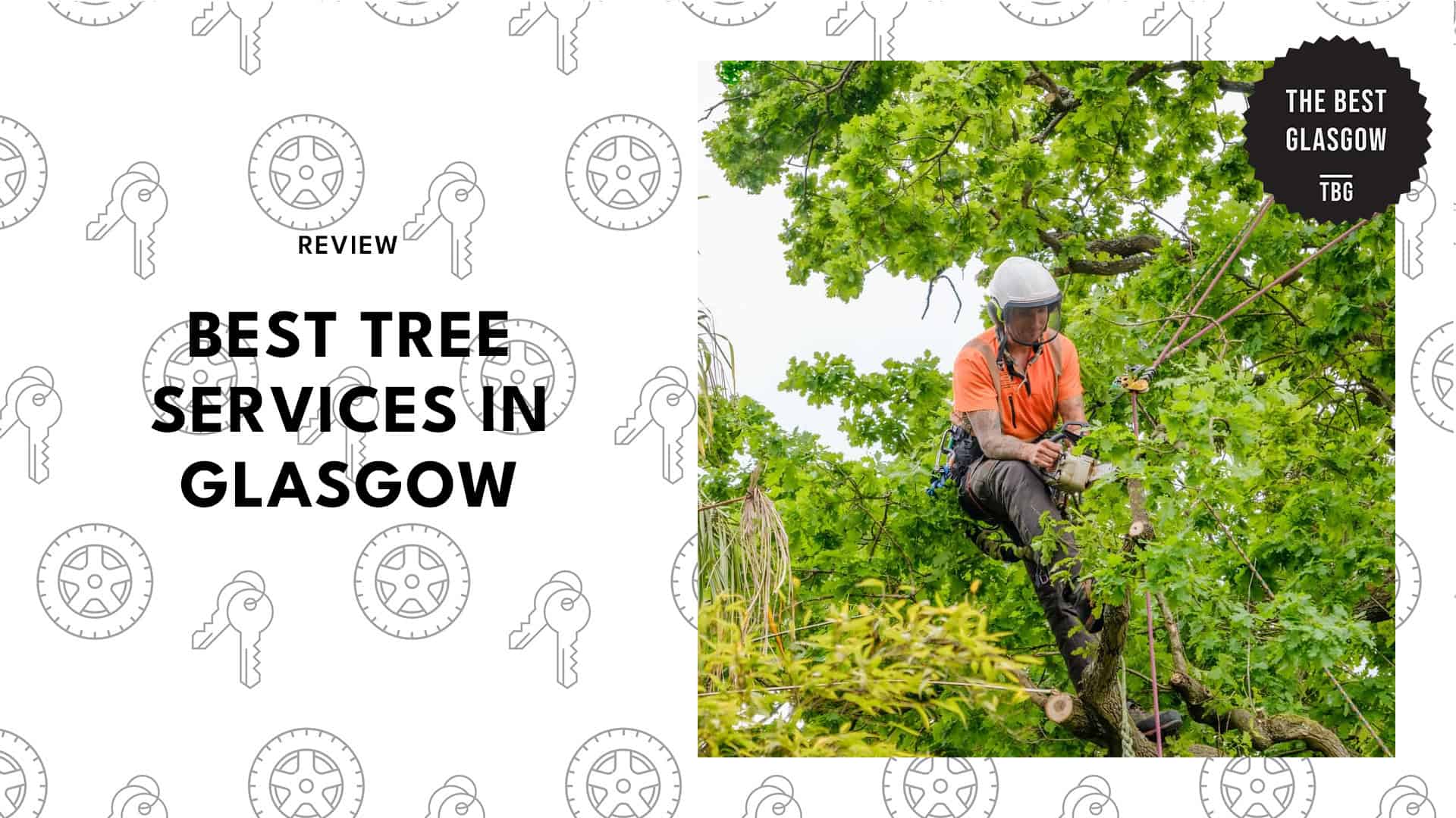 best-tree-services-glasgow-banner