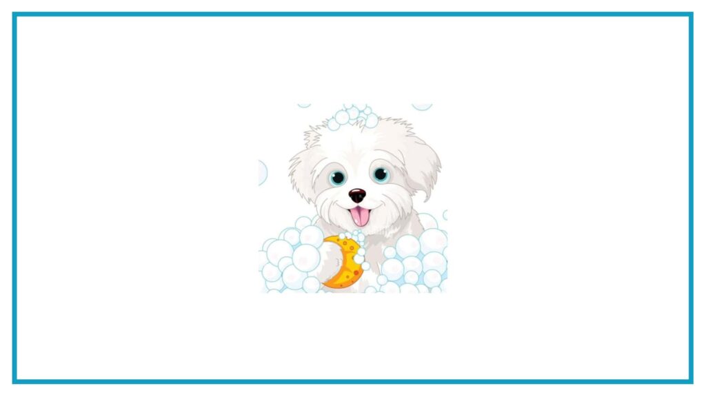 charlie-s-perfect-paws-pet-grooming-spa-and-boutique