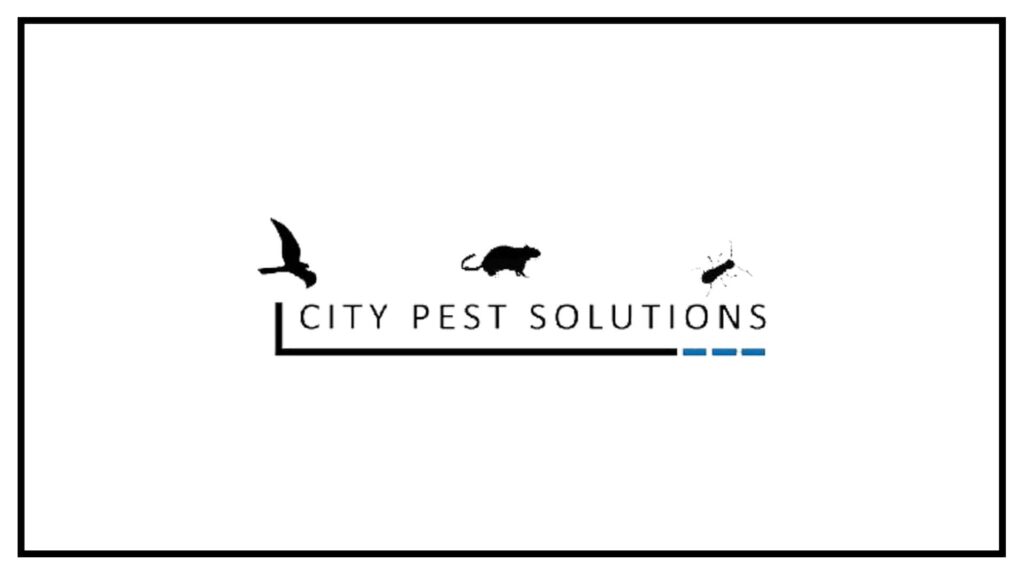 city-pest-solutions-glasgow