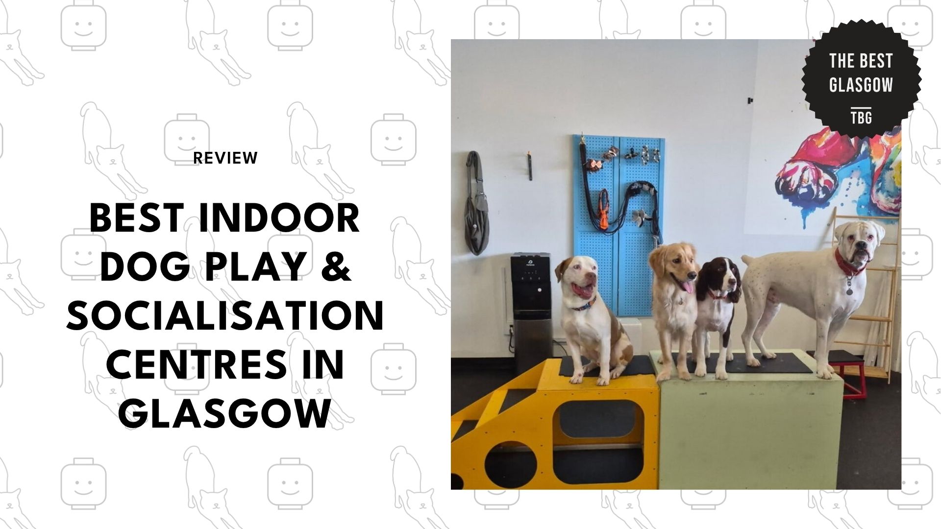 indoor-dog-play-socialisation-centres-glasgow-banner