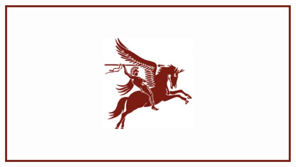 pegasus-investigations-ltd
