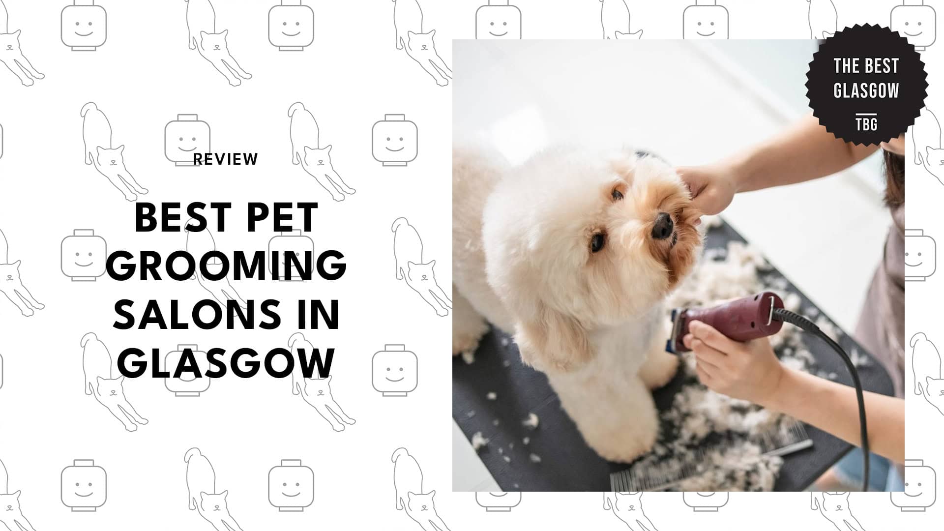 pet-grooming-salons-in-glasgow