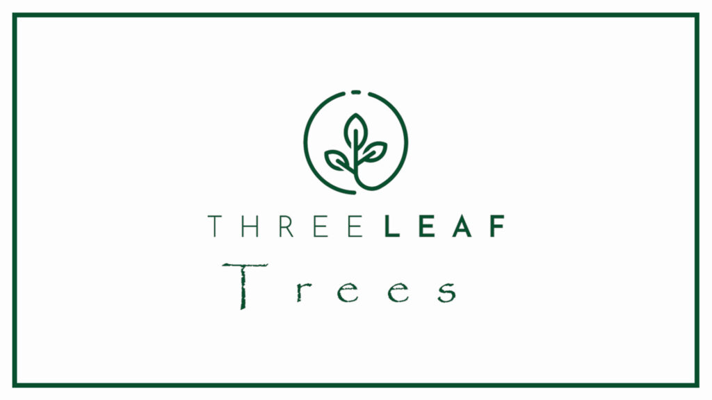 three-leaf-trees-logo