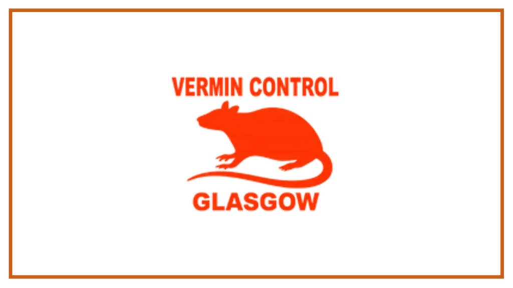 vermin-control-glasgow