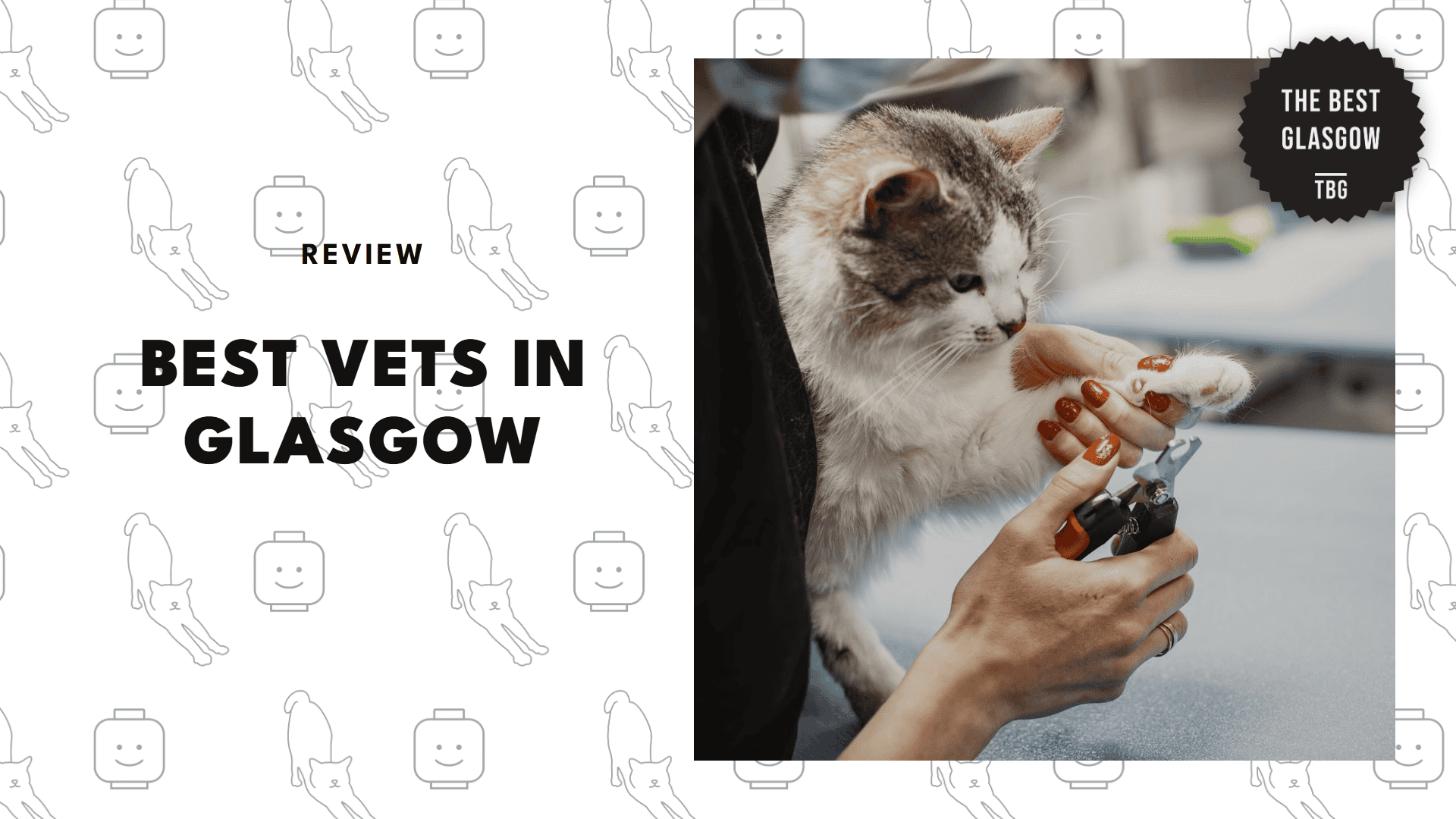 best-vet-glasgow