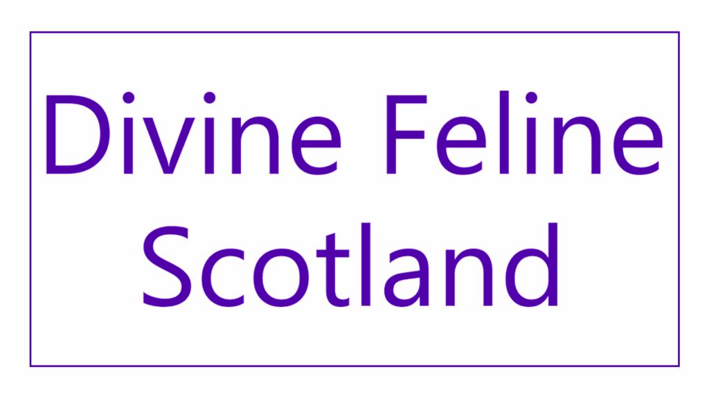 divine-feline-scotland