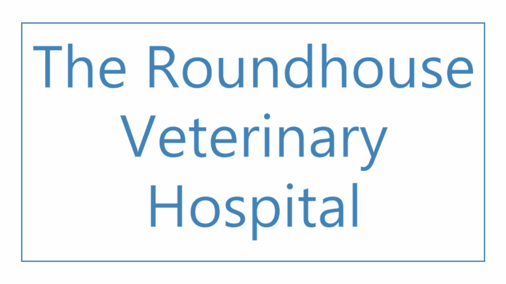 the-roundhouse-veterinary-hospital