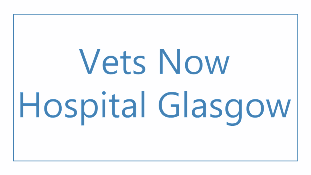 vets-now-hospital-glasgow